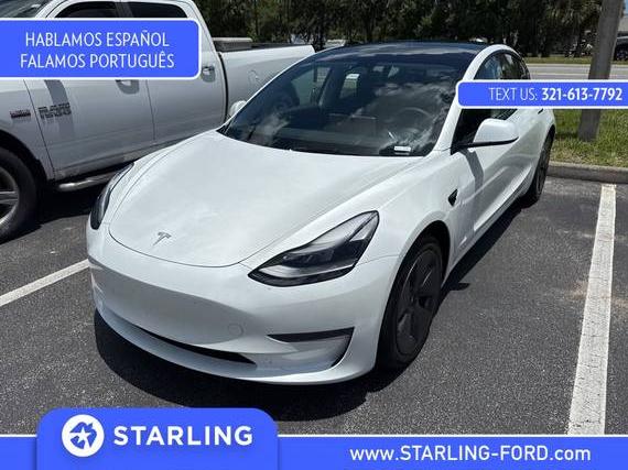 TESLA MODEL 3 2023 5YJ3E1EA1PF613133 image